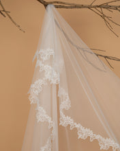 Load image into Gallery viewer, Plain Veil With Subtle All-Round Embroidery Lace