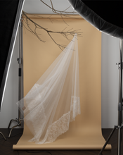 Load image into Gallery viewer, Plain Veil with 2 Sides French Lace
